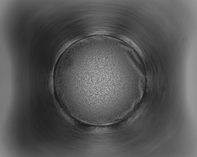 X0000099930890200805301156