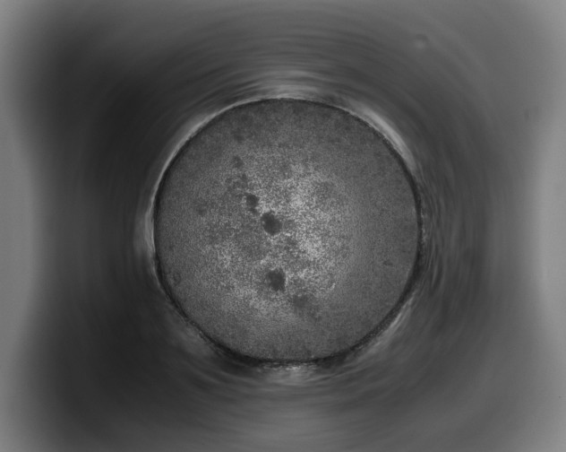 X0000099930891200805301156