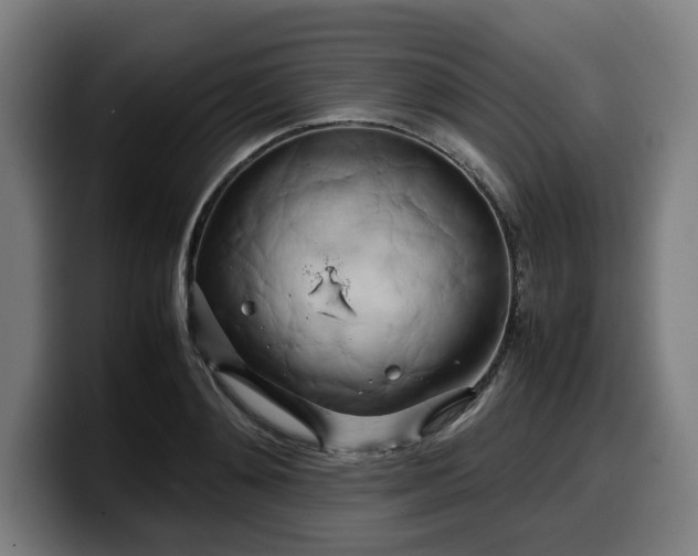 X0000099930892200805301156