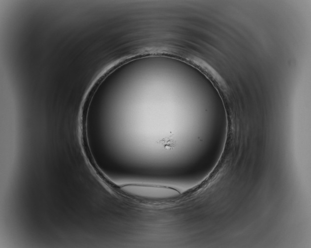 X0000099930894200805301156