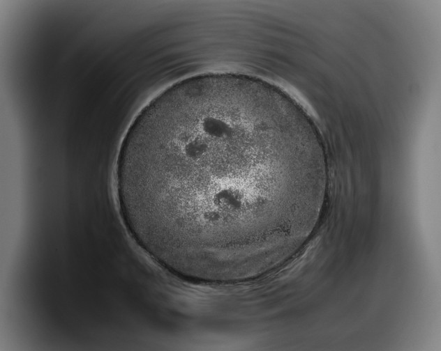 X0000099930895200805301156