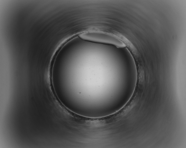 X0000099930896200805301156