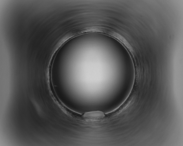 X0000099930898200805301156