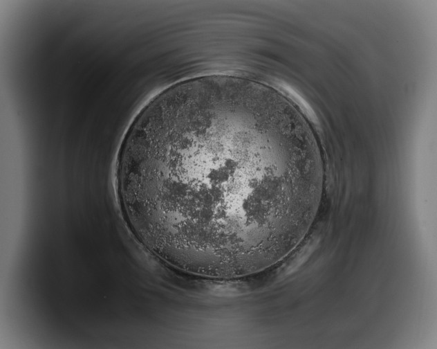 X0000099930899200805301156