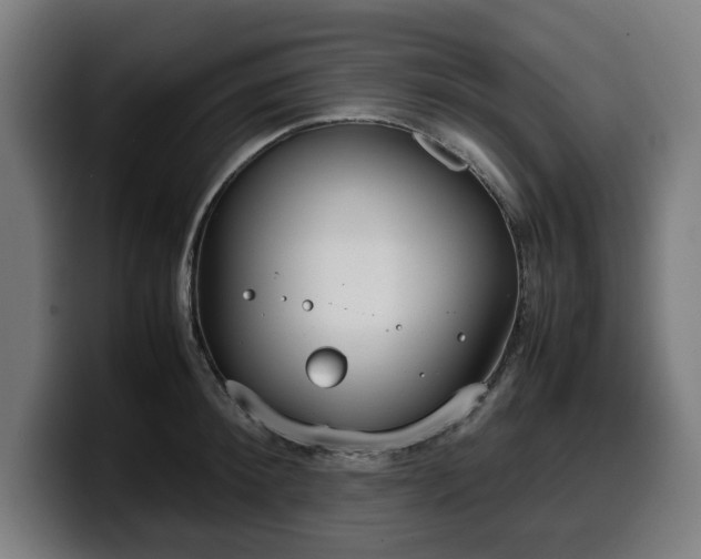 X0000099930900200805301156