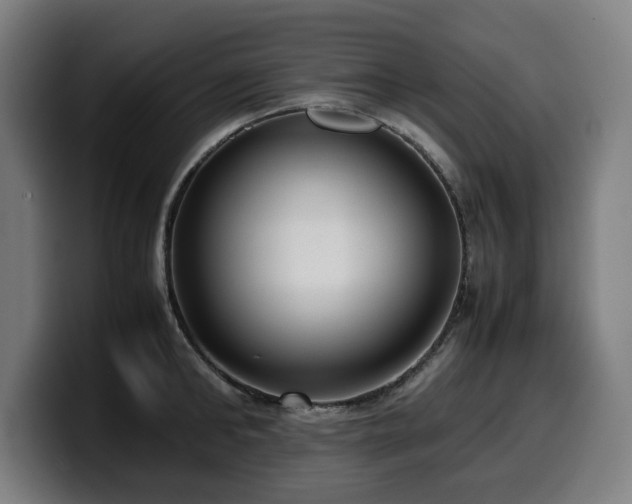 X0000099930902200805301156