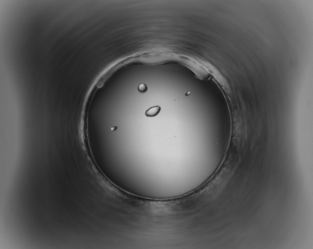 X0000099930904200805301156