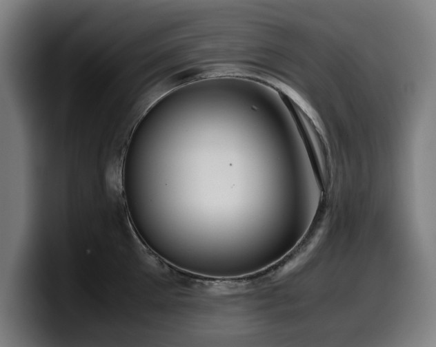 X0000099930905200805301156