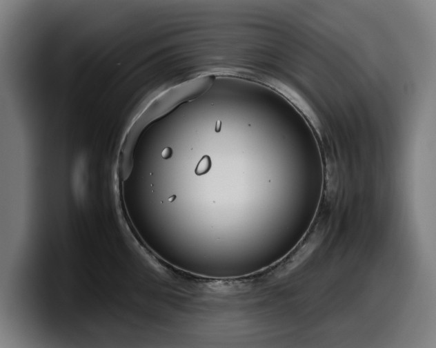 X0000099930906200805301156