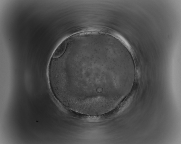 X0000099930907200805301156