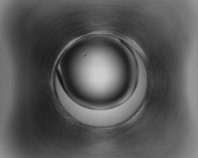 X0000099930908200805301156