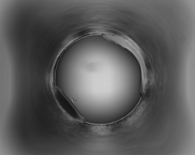 X0000099930909200805301156