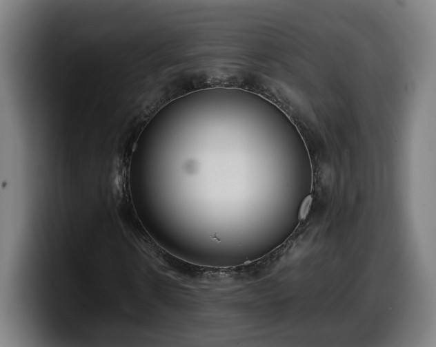 X0000099930914200805301155