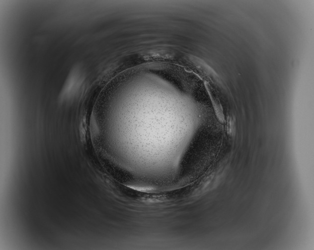 X0000099930915200805301155