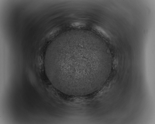 X0000099930917200805301155