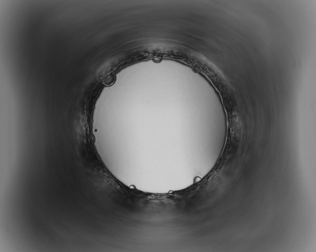 X0000099930918200805301155