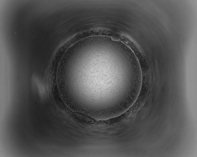 X0000099930919200805301155