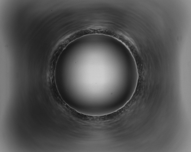 X0000099930920200805301155