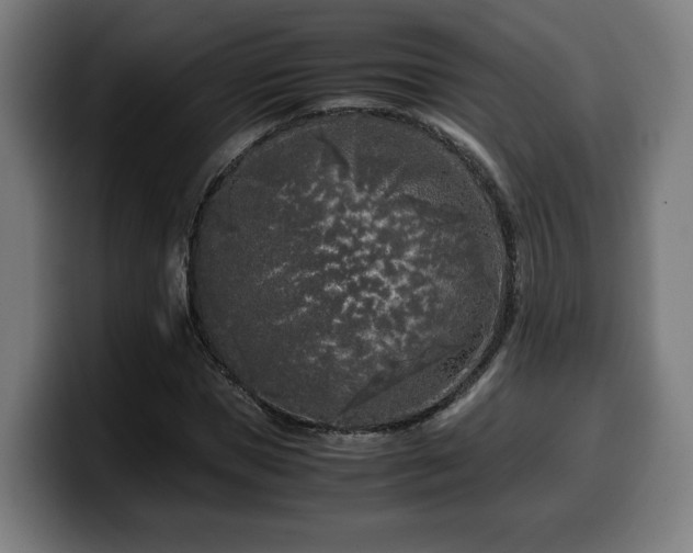 X0000099930921200805301155