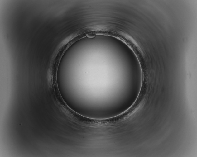 X0000099930922200805301155