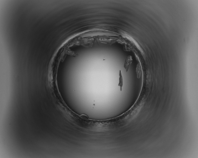 X0000099930923200805301155