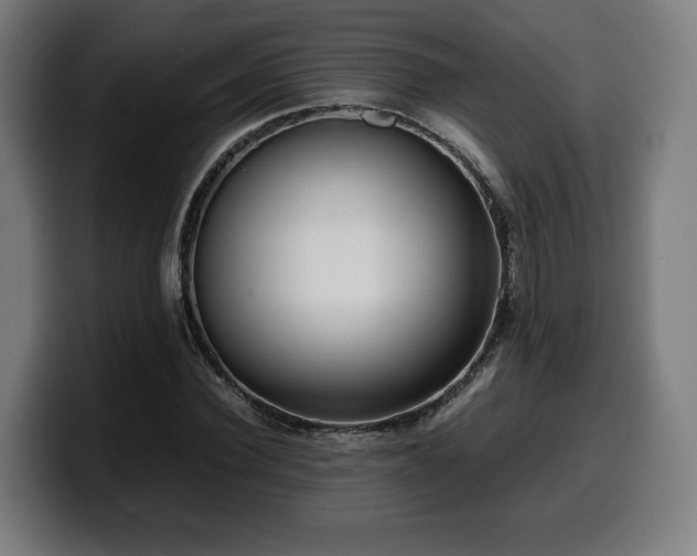 X0000099930924200805301155