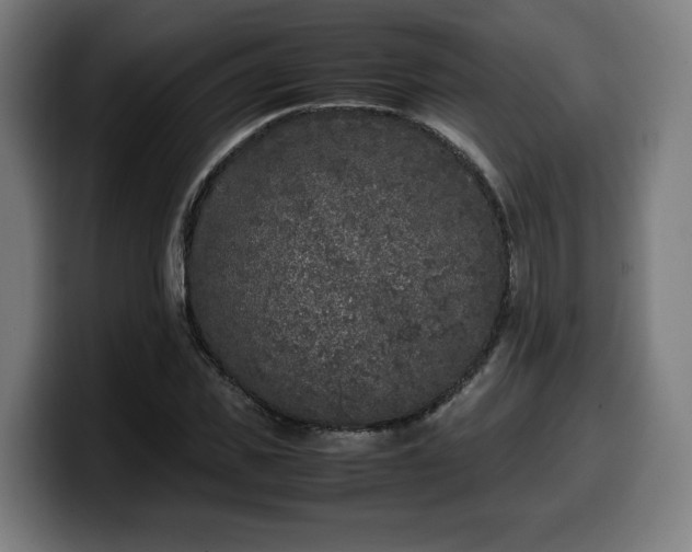 X0000099930925200805301155