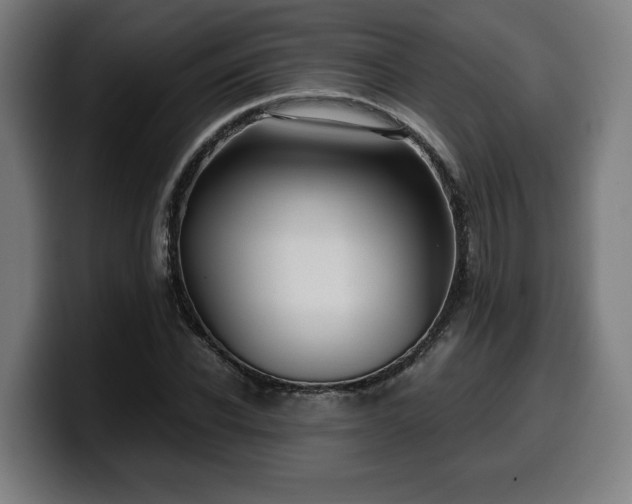 X0000099930926200805301155