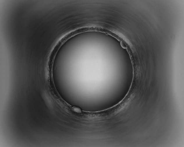 X0000099930927200805301155