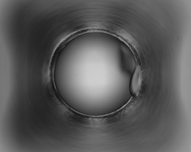 X0000099930928200805301155