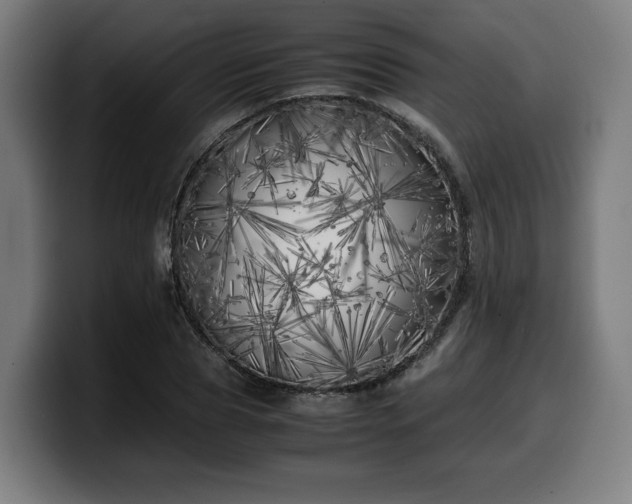 X0000099930929200805301155