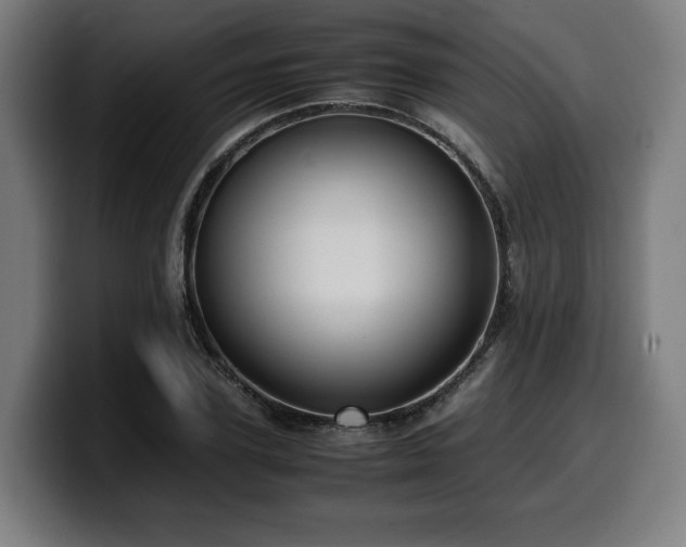 X0000099930931200805301155