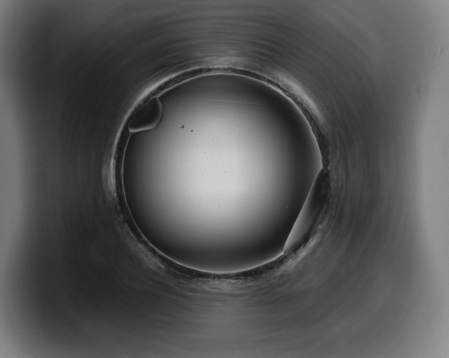 X0000099930932200805301155