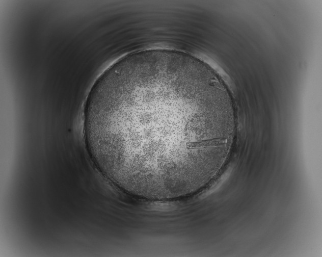X0000099930933200805301155