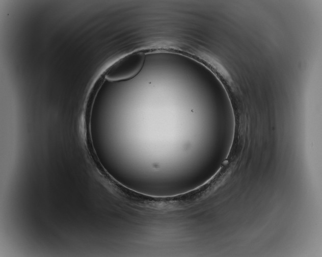 X0000099930936200805301155