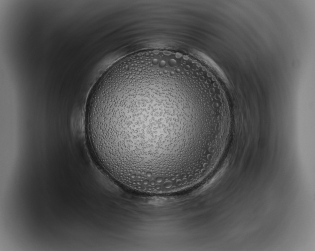 X0000099930938200805301155