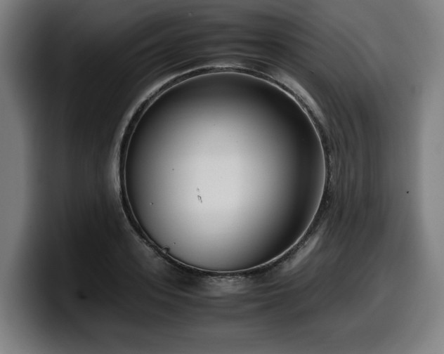 X0000099930939200805301155