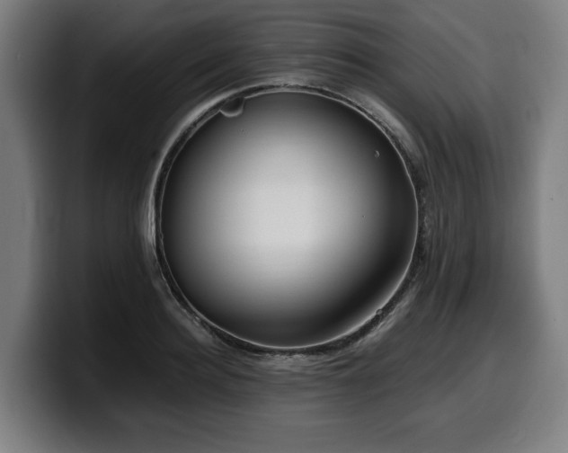 X0000099930940200805301155