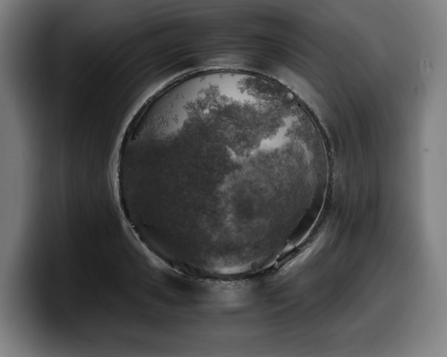 X0000099930941200805301155