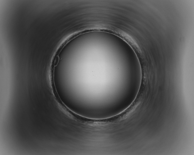 X0000099930942200805301155