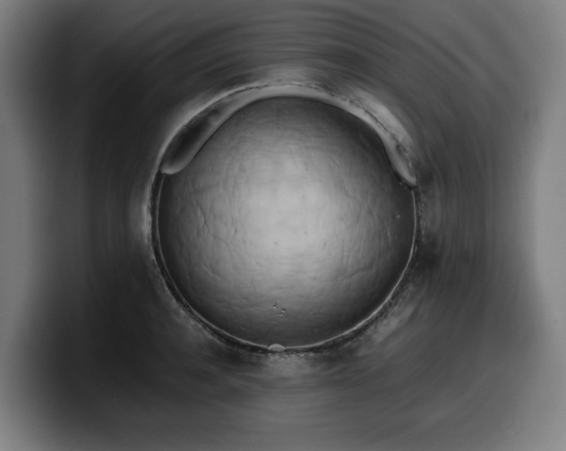 X0000099930944200805301155