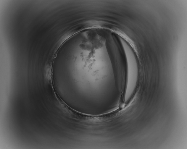 X0000099930945200805301155