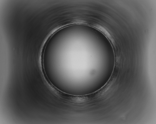 X0000099930947200805301155