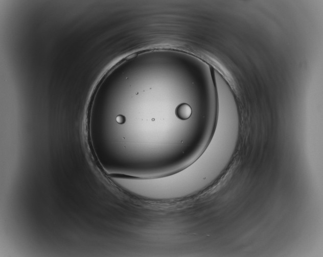 X0000099930948200805301155