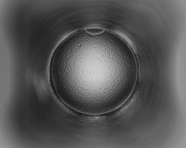 X0000099930949200805301155