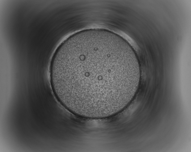 X0000099930950200805301155