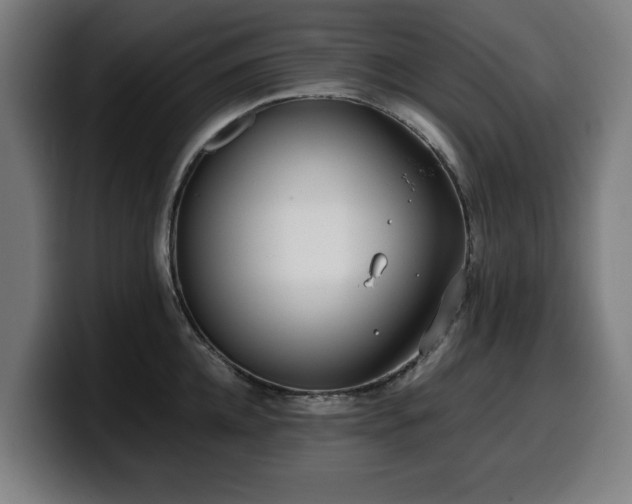 X0000099930952200805301155