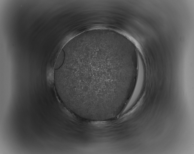 X0000099930953200805301155