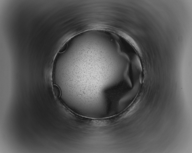 X0000099930954200805301155