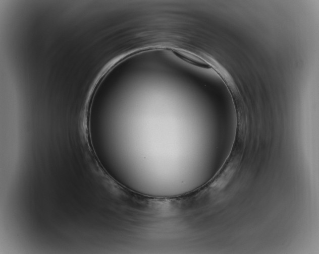 X0000099930956200805301155